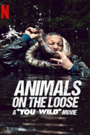 ดูหนังสารคดี Animals on the Loose- A You vs. Wild Movie (2021)