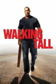 Walking Tall ไอ้ก้านยาว (2004) หนังแอ็คชั่น สนุกดูฟรี