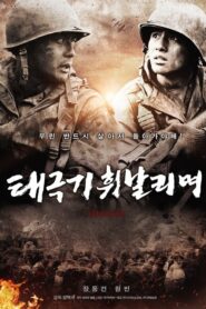 ดูหนังออนไลน์เรื่อง Tae Guk Gi The Brotherhood Of War (2004)
