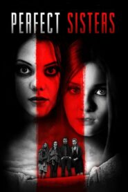 Perfect Sisters พฤติกรรมซ่อนนรก (2014) ดูหนังที่สร้างมาจากเรื่องจริงพี่น้องวางแผนฆ่า