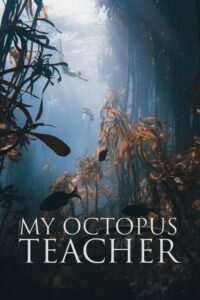 My Octopus Teacher บทเรียนจากปลาหมึก (2020) ดูหนังสารคดีใต้น้ำฟรี