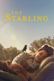 The Starling เดอะ สตาร์ลิง (2021) ดูหนังออนไลน์เต็มเรื่อง