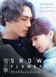 Snow Flower ชีวิตที่สั้นนั้นมีแค่เรา (2019) ดูหนังรักโรแมนติกจากญี่ปุ่นฟรี