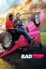 Bad Trip ทริปป่วนคู่อำ (2020) ดูหนังการเดินทางเพื่อจะสื่อรัก