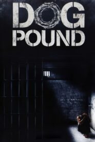 Dog Pound (2010) ดูหนังชีวิตในเรือนจำเยาวชนจากหลายมุมมอง