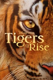 Tigers on the Rise (2024) ดูหนังแนวแอ็คชั่นที่น่าตื่นเต้น