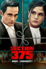 Section 375 (2019) ดูหนังความท้าทายในกระบวนการยุติธรรม
