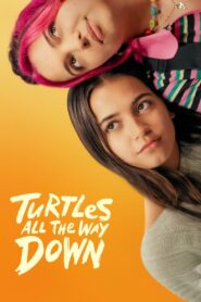 Turtles All the Way Down กลเกลียวสุดห้วงกาล (2024) ดูหนังฟรี