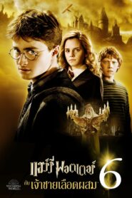 Harry Potter and the Half-Blood Prince เจ้าชายเลือดผสม (2009)