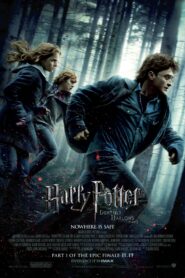 Harry Potter and the Deathly Hallows: Part 1 เครื่องรางยมทูต (2010)